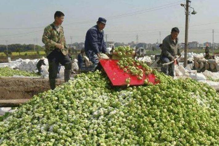 太阳城官网